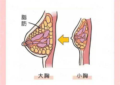 <strong>西安国际医学整形医院籍建华牵张成骨:服务质量与术后护理体系</strong>