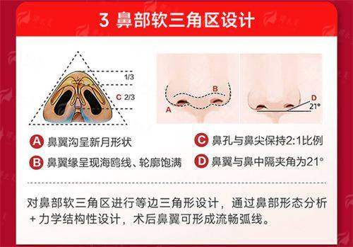 <strong>北京嘉禾整形王广 胸部提升术的价格是多少?</strong>