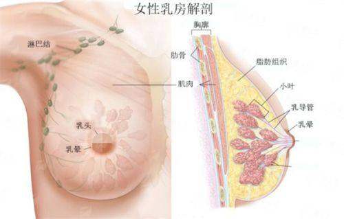 <strong>骨干医生王广医生:深厚资历与不错技术铸就信赖</strong>