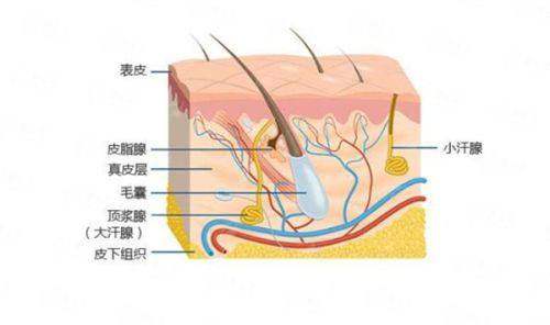 <strong>二、北京煤医李晓磊核心技术优势详解</strong>