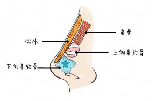 <strong>四、重庆华美整形医院陈德法预约方式介绍</strong>