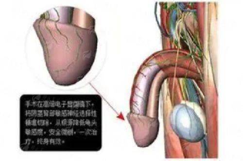 <strong>四、成都西区整形医院杨世界怎么预约更方便</strong>
