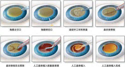 五、鞍山张玉霞星范 项目价格参考与透明消费