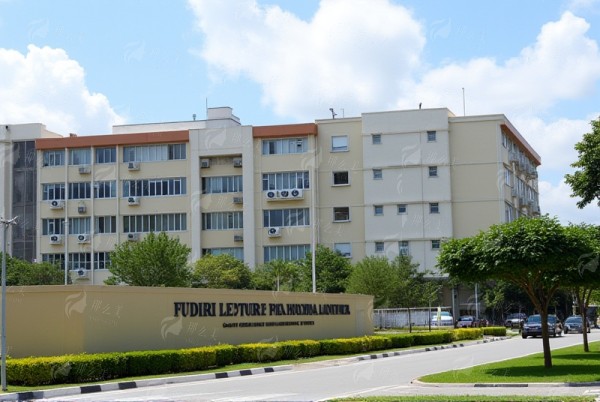 武汉体雕哪家强？江城整形外科医院医生特色技术全揭秘