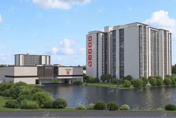 四、无痕双眼皮手术的常见问题解答